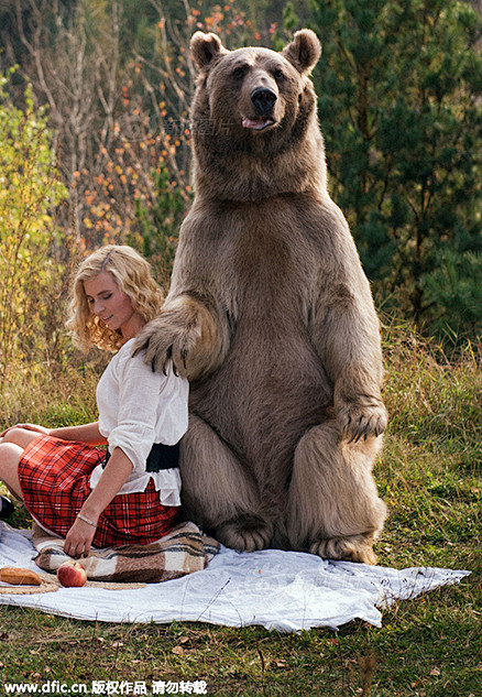 母女与棕熊温馨野餐 : 2015年11月...