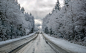 General 2048x1274 winter ice snow road trees