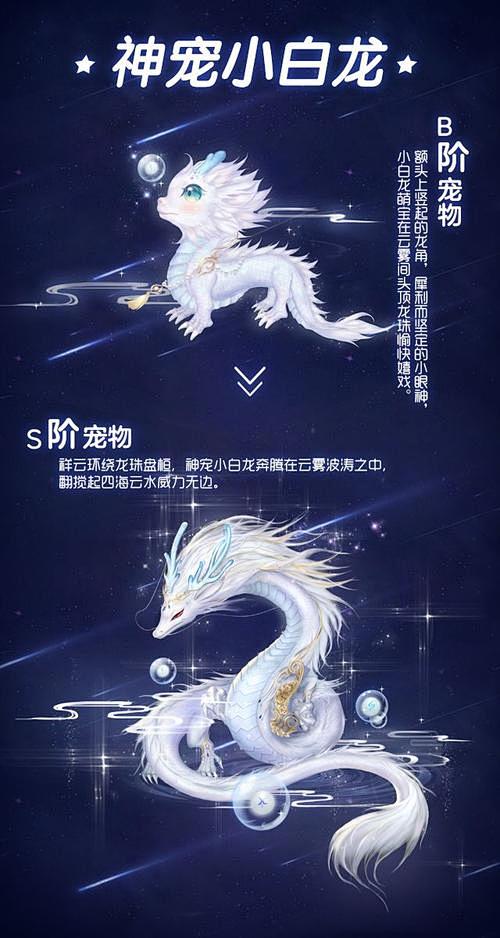 白龙的搜索结果_百度图片搜索