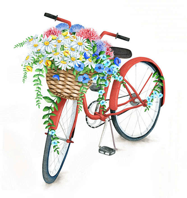 Bicycles : Watercolo...