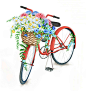 Bicycles : Watercolor images