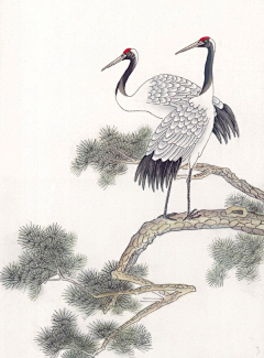 古月图采集到4.意向图