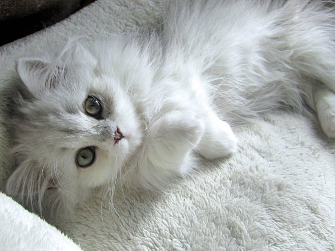 (10) Tumblr