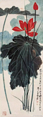 中国画荷第一人，张大千 ​​​​