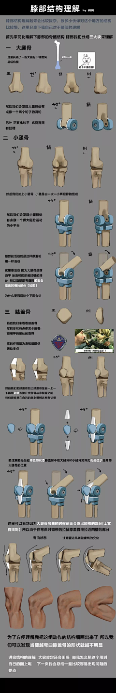 逗秋雨采集到人体素材