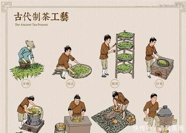 制茶技术与种类！