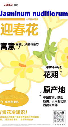 WY8Jnz9E采集到创意海报