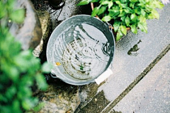 佼佼机采集到生活素材