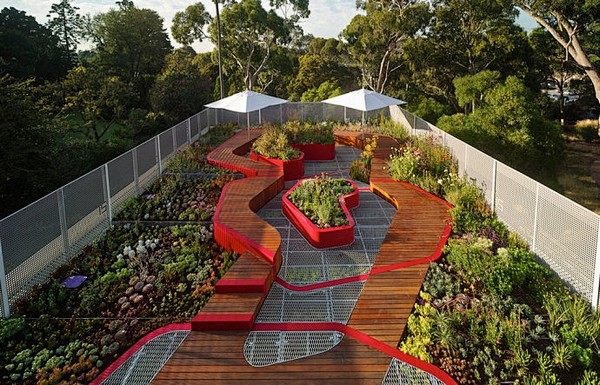 澳大利亚：Burnley屋顶花园