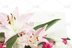 束鲜花
