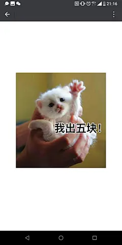 豆瓣话题 - 给你家喵主子照片做过的表情包