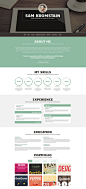 Web Developer CV WordPress Theme