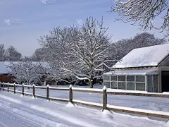 雪_5148347701_5755712381