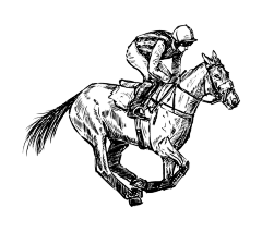 八月wwv采集到马插画矢量图设计素材