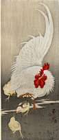 Cock and Chicks  by Ohara Koson