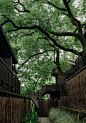【新提醒】谢柯&王驰：夕上·虎跑1934酒店-室内设计-拓者设计吧
