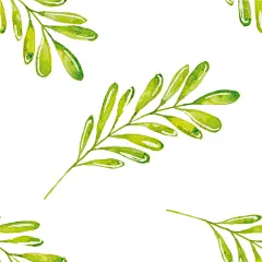 植物花朵树叶小草绿叶小清新唯美花草荷叶树枝树苗大自然树林情人节花蕊森女彩铅手绘花朵植物清新绿色森系手绘水彩素材