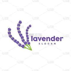 薰衣草标志，简单雅致的紫色花卉植物载体，贺卡设计，横幅，花卉装饰，薰衣草手绘婚纱，图标符号图解