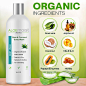Amazon.com: AloeMoist Gel de ducha hidratante orgánico - Gel de ducha hidratante para piel sensible - Sin aroma, tinte o gluten añadidos - Gel de baño hidratante para mujeres y hombres con coco, aloe, miel, : Belleza y Cuidado Personal