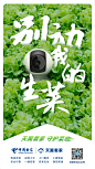 天翼看家 守护菜地