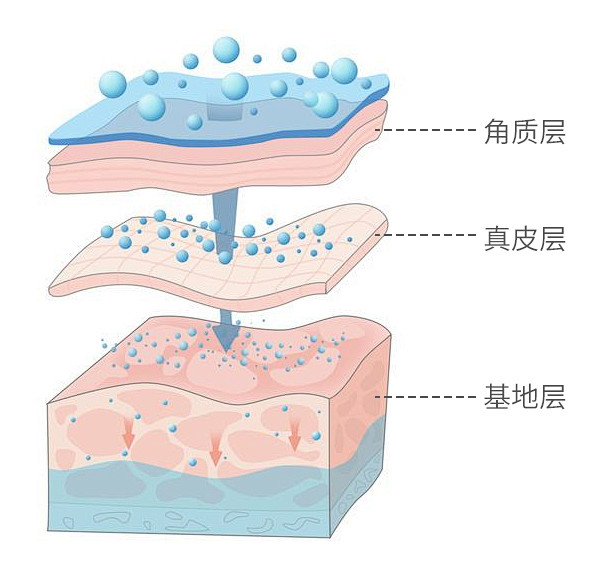 皮肤吸收202112101