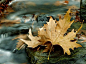 jmsjk:

by Fokion Zissiadis on 500px

