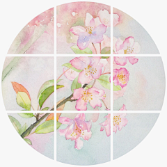 江岸野蕊采集到桃花