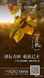 立秋 (18)