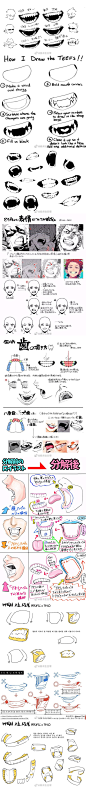 不同角度的嘴巴和牙齿