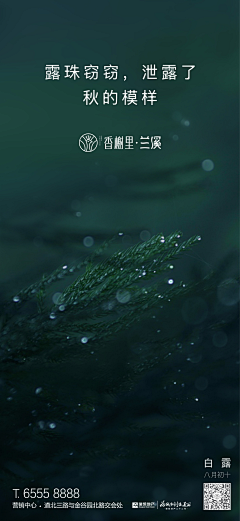 冷场脆骨采集到山语河