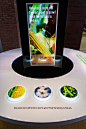 Monsanto Chesterfield Corporate Exhibit : While at Spagnola and Associates I helped design an exhibit for Monsanto  in Chesterfield, MO. Each pylon is 14' tall and uses interactivity to tell stories about global crop and food issues.All photos © David Sun