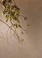Norm Architects Designs New Sticks 'n' Sushi Restaurant in London on Anniversary Magazine
