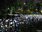 过了湖区，就是灯光广场，简直就是一场LED的视觉盛宴，加上大型喷泉变化莫测，美轮...