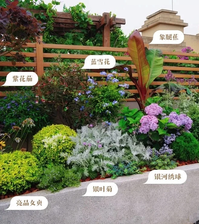 植物配置实景 (131)-花瓣网