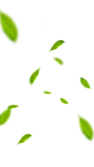 e075c2f9e1722dccf6c21fd9bfd590eccbdee340732cc-qe3BvO_fw1200