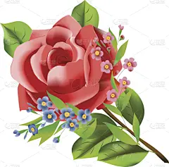 仅一朵花,小的,粉色,深蓝,玫瑰,纺织品,绘画插图,古典式,夏天