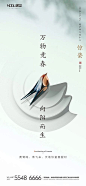 惊蛰