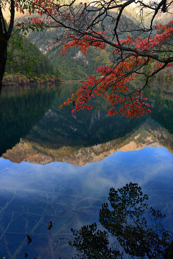 寒山转苍翠，
秋水日潺湲