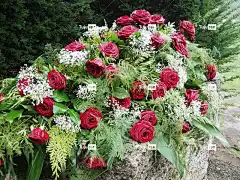 玫瑰 晨雾 花壁纸 墓地 花卉背景 美丽的花朵 悲伤 纪念馆