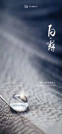 Thanshao采集到TC GROUP