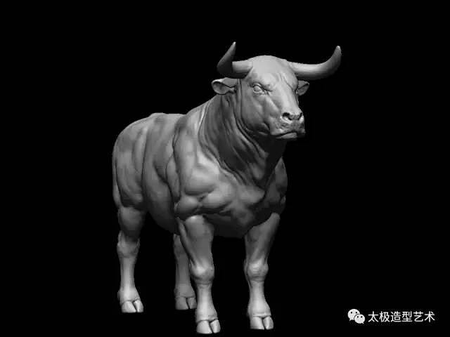 其它动物的结构与雕塑