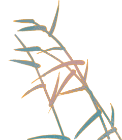野小野采集到GIF