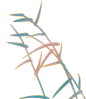 冬季中国风植物动态插画-芦苇11