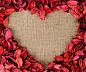 心脏形框架由红色花瓣上麻布织物背景