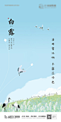 白露
