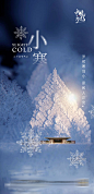 小寒节气海报