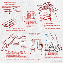 大头椰酥采集到Chen-【好教程】