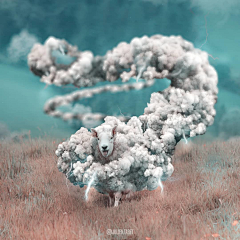 🍃七星瓢虫采集到合成
