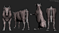 cow anatomy study, Robin de Jong : This model is part of animal anatomy research I am doing for my specialisation project at school (creature design). Sculpted in Zbrush.