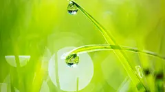 壁纸的搜索结果_360图片